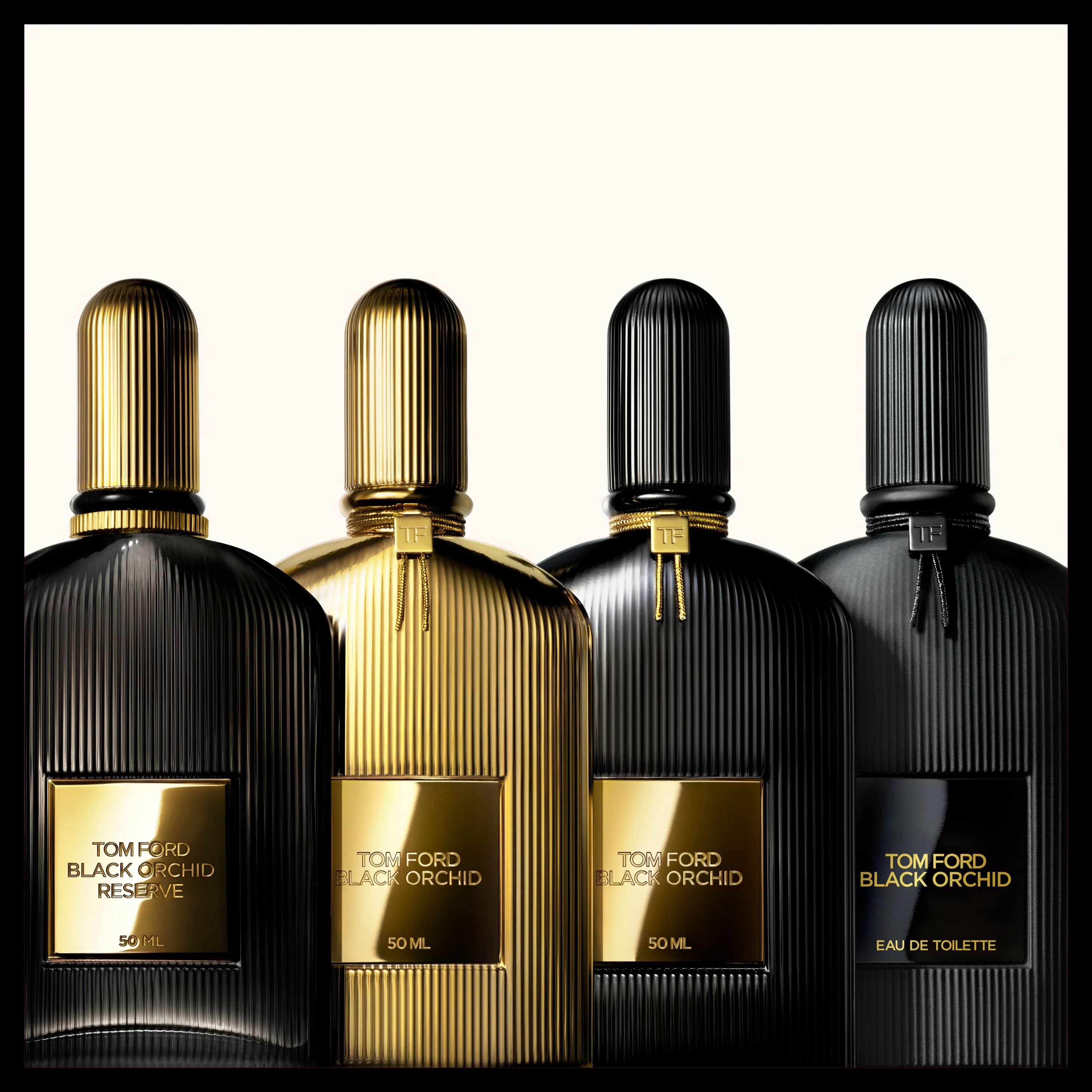 Black Orchid Discovery Collection - Image 2