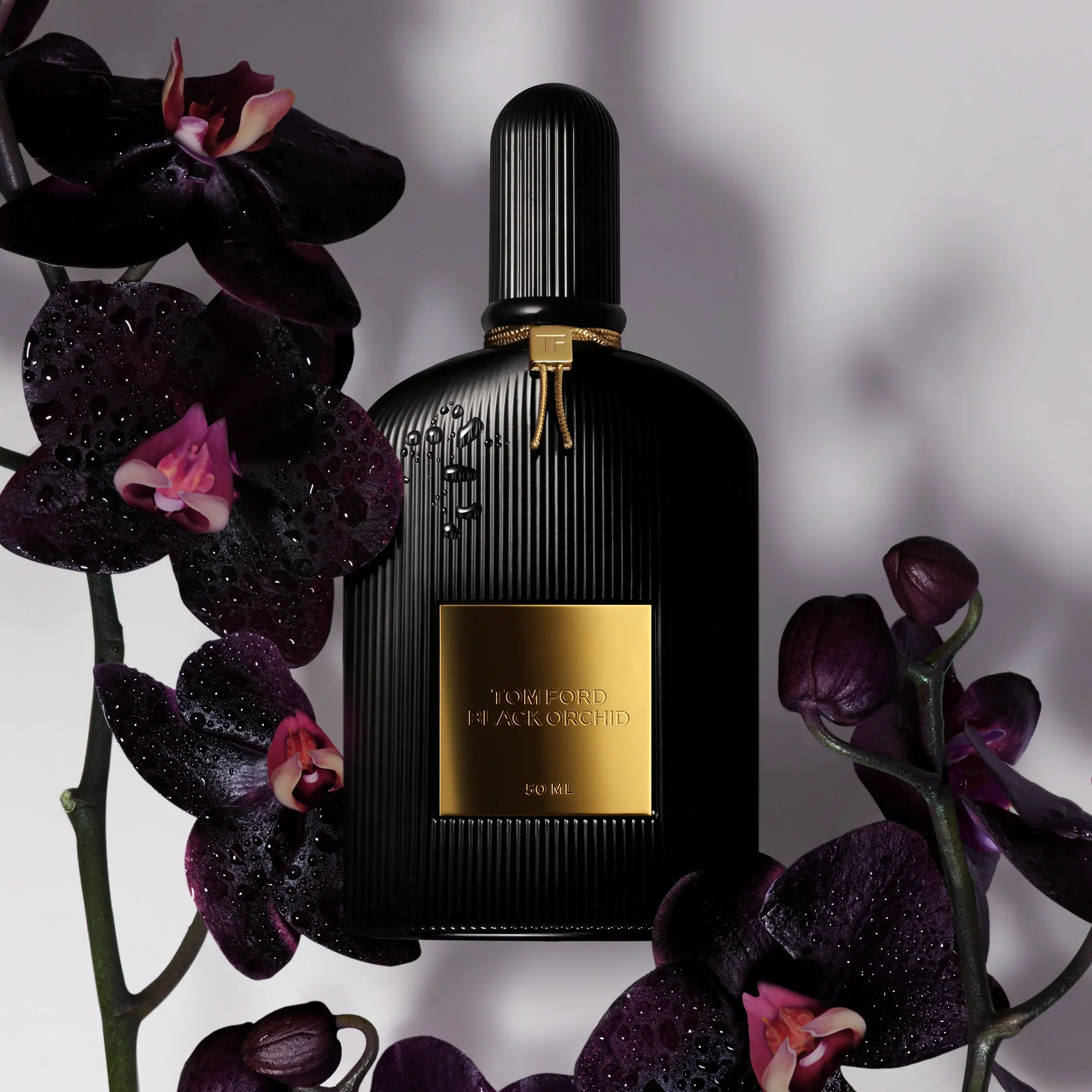 Black Orchid Eau de Parfum - Image 7